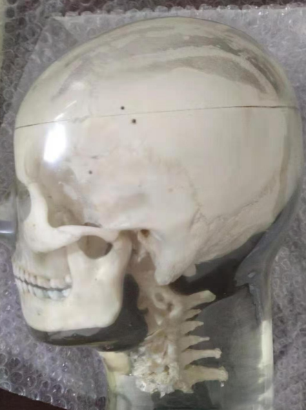 1754611940878 1754611940878