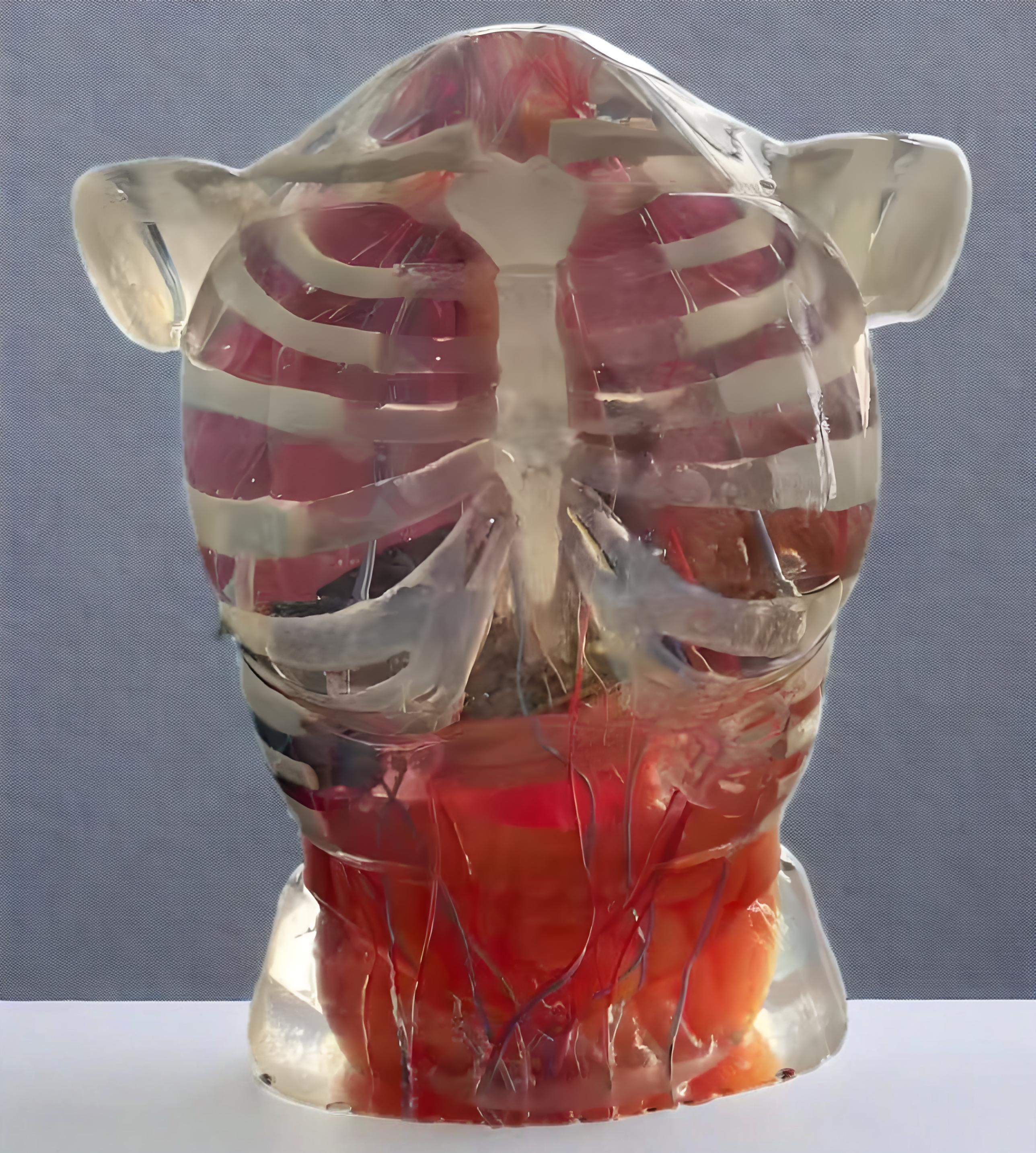 1a3789942a0c85c1ebda2e9bd370b699